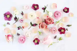a bouquet of pink and white flowers on a white background