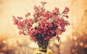 a vase with flowers in it