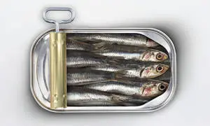 Fresh Sardines In A Can