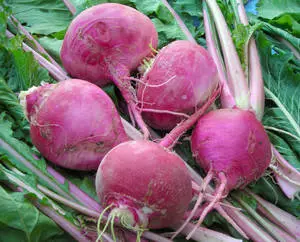 Fresh Scarlet Turnip