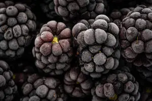 Frozen Blackberries Fruit Food Desktop