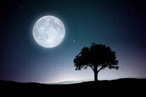 Full Moon Desktop Screen Hd