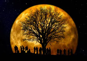 Gathering Under The Moon Night Sky