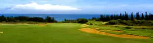 Ready for a Round of Golf?