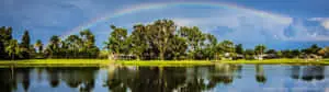 Enjoying the Moment – An Athlete Enjoys the Thrill of a Golf Course