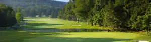A stunning view of a hole in one.