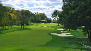 Golfing Desktop Flat Field