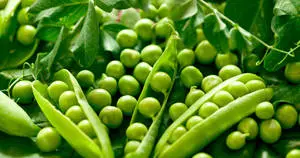 Green Beans Newborn Pods