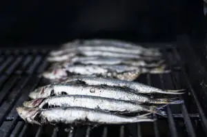 Grilled Sardines