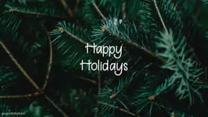 happy holidays - png