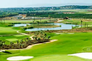 Amendoeira HD Golf Course Background