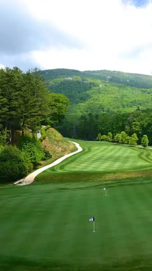 Bermuda Grass On HD Golf Course Background
