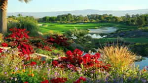 Indian Wells HD Golf Course Background