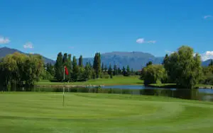 Enjoying a sunny day playing a round of golf