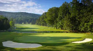 a golf course with trees