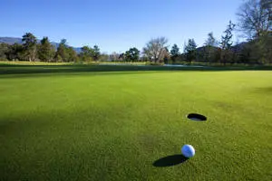 Enjoy a beautiful day out on the golf course.