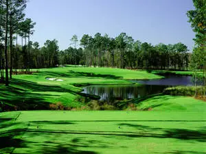 Stay Focused While On The Green; Improve Your Golf Skills