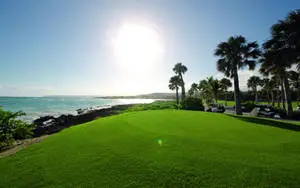 HD Golf Desktop Sunny Hill With Trees
