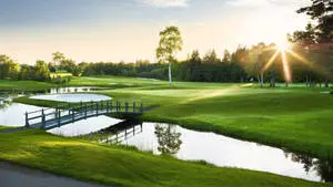 Get Ready to Take Your Golf Game to the Next Level 