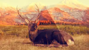 Hipster Deer Desktop