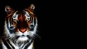 Indian Tiger Face Art