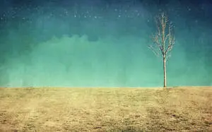 Indie Aesthetic Laptop Dead Tree On Field