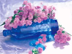 Pink Lilac Color Flowers Blue Bottle