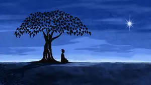 Meditation Spiritual Aesthetic