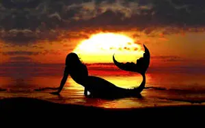 Mermaid Laptop Desktop