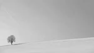 A clean and minimalistic desktop background for a tidy workspace