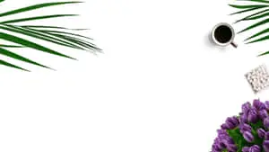 Serenity in Simplicity, Minimalist Plant on Desktop
