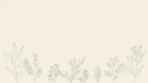 Aesthetic Line Drawing Leaves Minimalist Plant Desktop