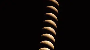 Moon Phases In Vertical Line