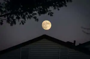 Yellow Full Moon Picture