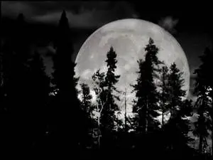 Moon