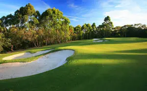 Multiple Sand Traps Golfing Desktop