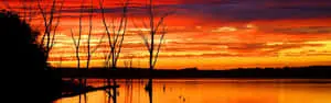 Bright Sunset As A Panoramic Desktop