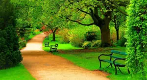 Park Walkway Full Screen Hd Desktop
