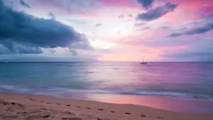 Pastel Sunset Ocean Desktop