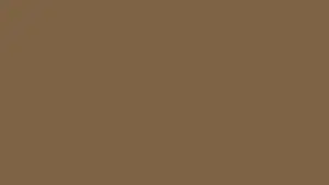 Beautiful Brown Aesthetic Laptop Backdrop