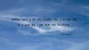 Plausible Quote By Arundhati Roy