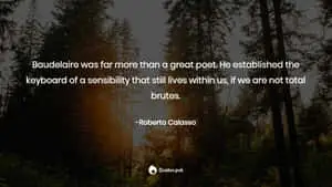 Plausible Statement About Baudelaire