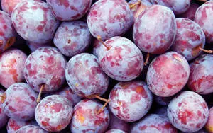 Plum Fruits With Waxy Skins
