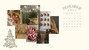 Preppy Christmas Calendar 