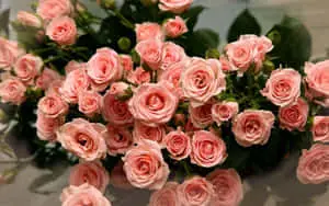 Captivating Blossom Display
