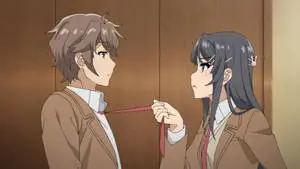Rascal Does Not Dream Of Bunny Girl Senpai Cute Couple