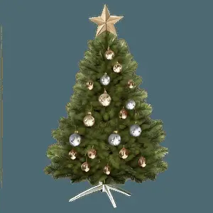 Realistic Christmas Tree PNG iwm39