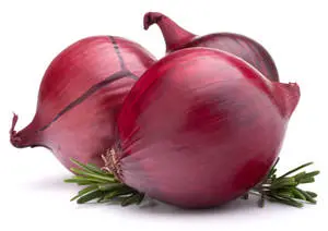 Red Onions And Rosemary Cuttings