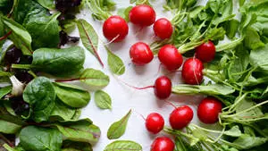 Refreshing Small Bulb Radish
