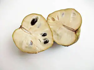 Ripe Cherimoya Fruit-Bearing Plant